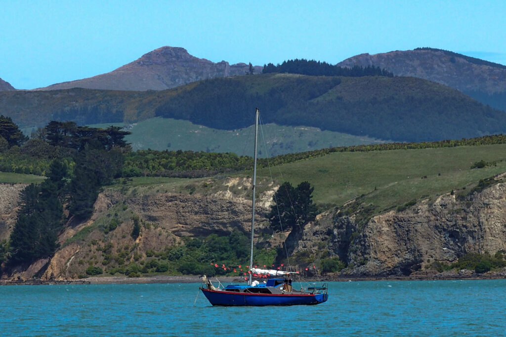 " Colourful Boat in front of Quail Island"