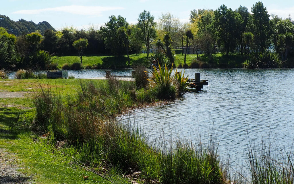 "Junior Fishing Pond at Clearwater"