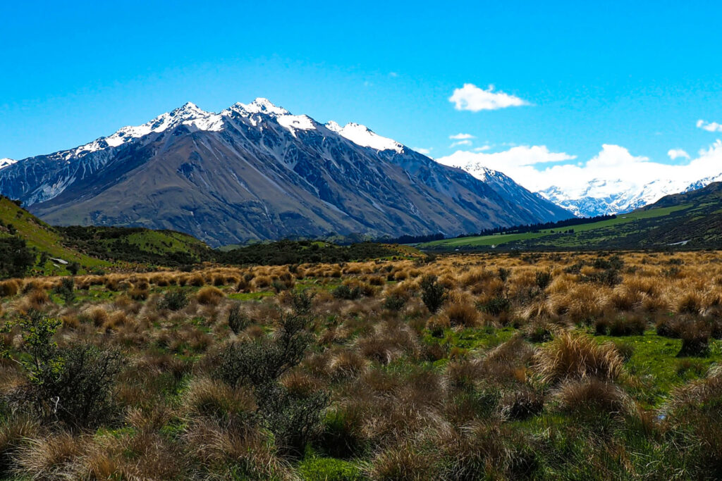 "View out to the Potts Range"