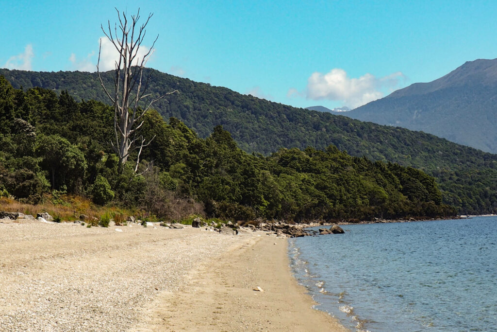 Manapouri Beach view left