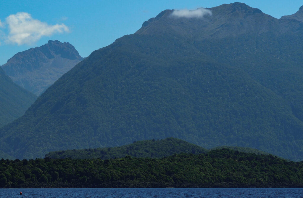 Manapouri/Fiordland National Park
