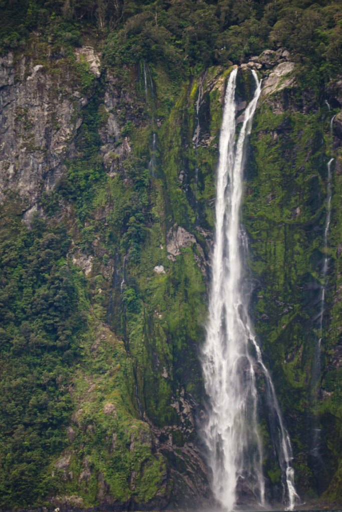 Stirling Falls/Milford Sound