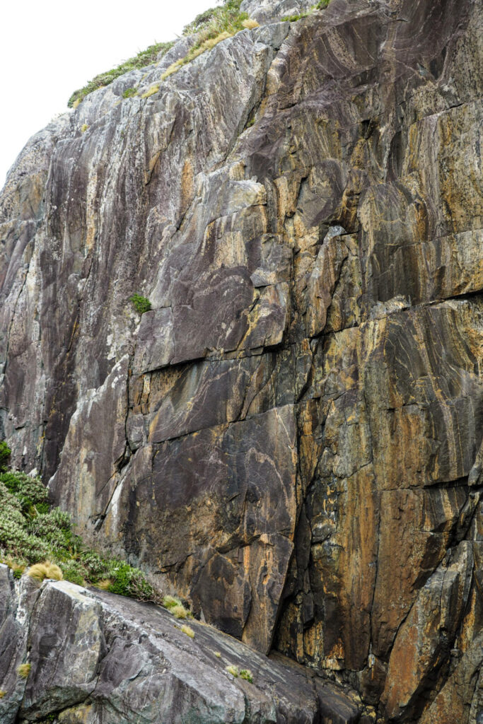 Fiord Rock formation/Milford Sound/Fiordland National Park