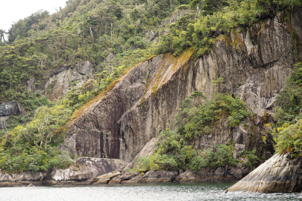 Rugged Edges of Granite/Milford Sound/Fiordland National Park