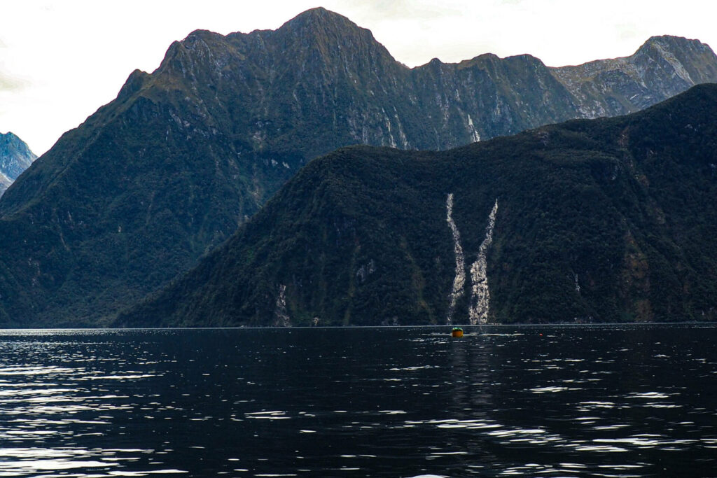 The Lion/Milford Sound