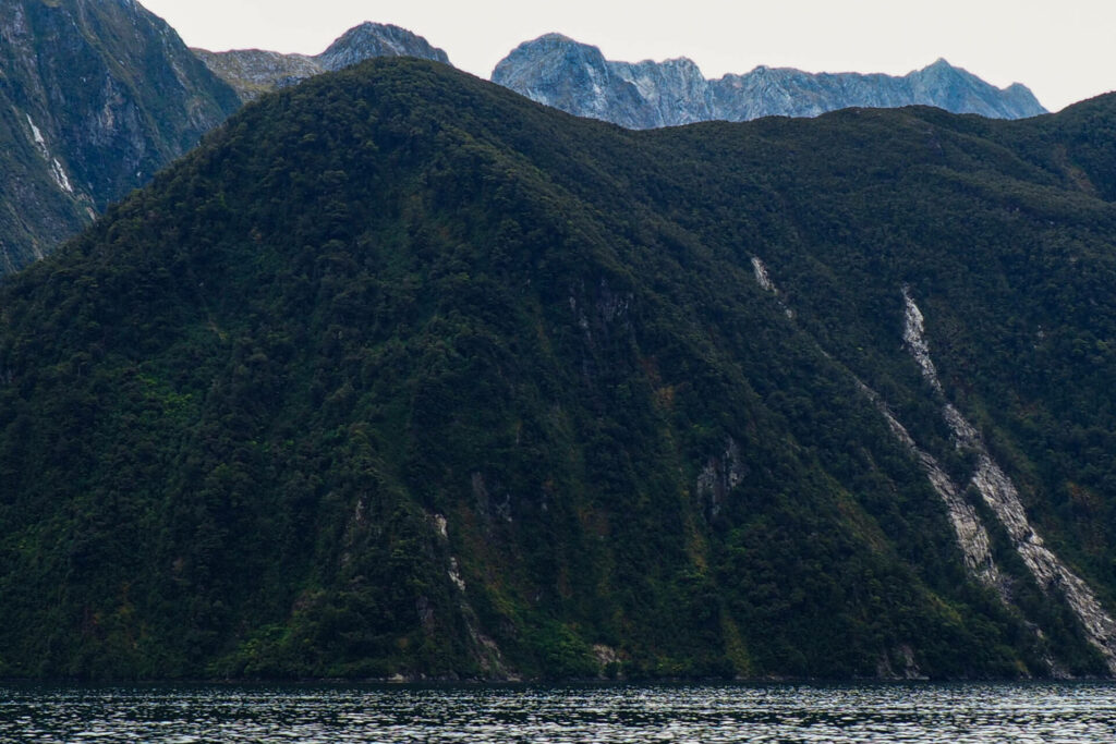 Fiordland National Park/Milford Sound