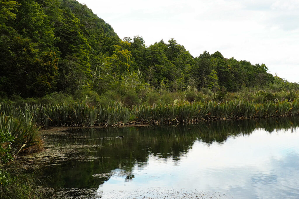 Mirror Lakes Fiordland