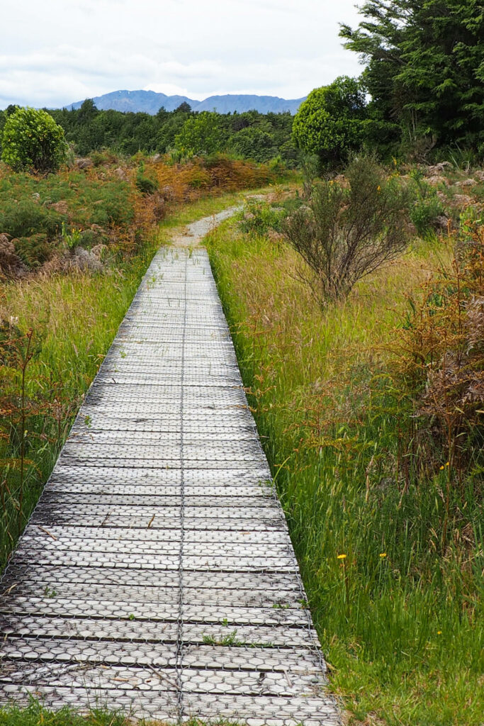 Path to Lookout at Lake Mistletoe