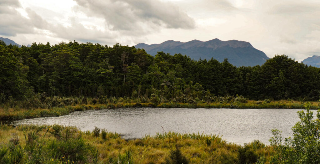 Left View of Lake Mistletoe