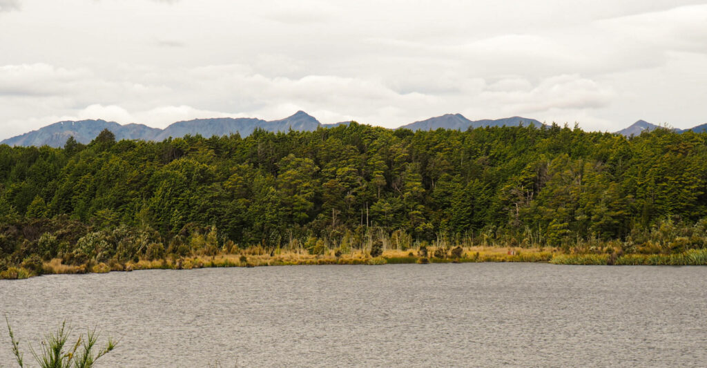 Lake Mistletoe front view