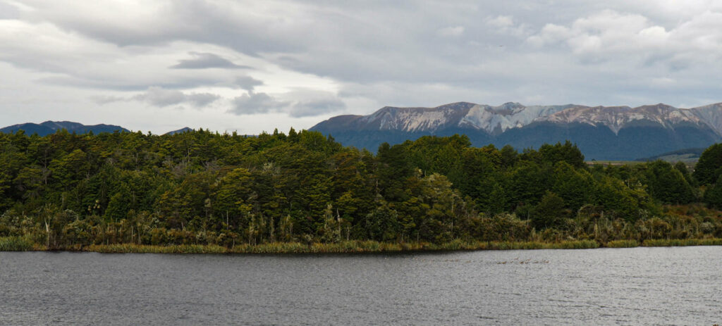 Lake Mistletoe