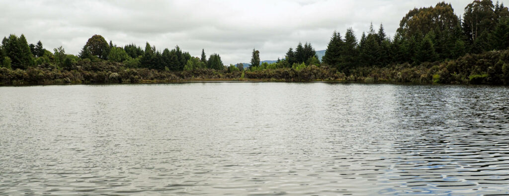Lake Henry