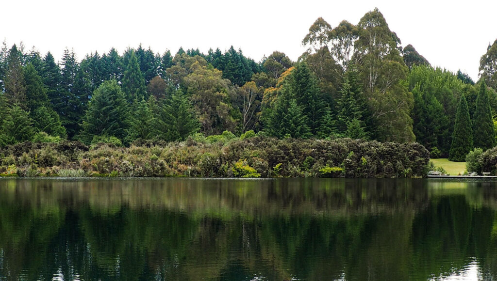 Left view of Lake Henry