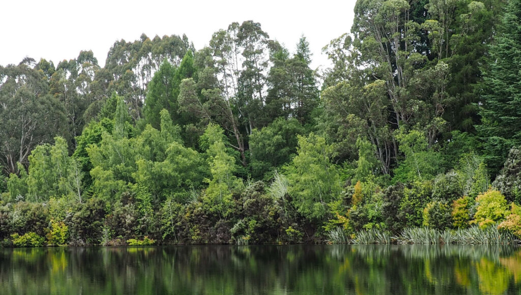 View around Lake Henry