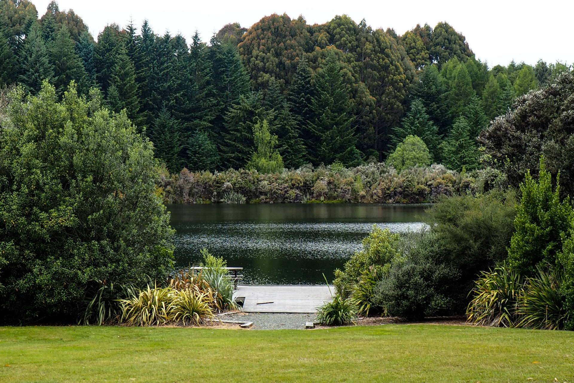 LAKE HENRY Susan Boyd Photography