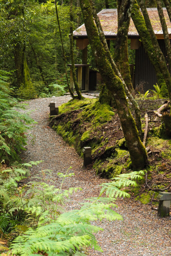 Nature Walk path