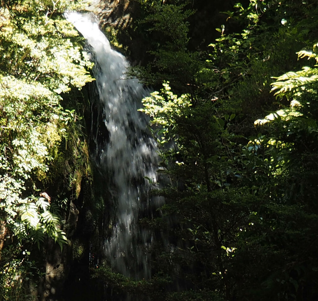Bottom section of the Avalanche Creek Falls among the bush.