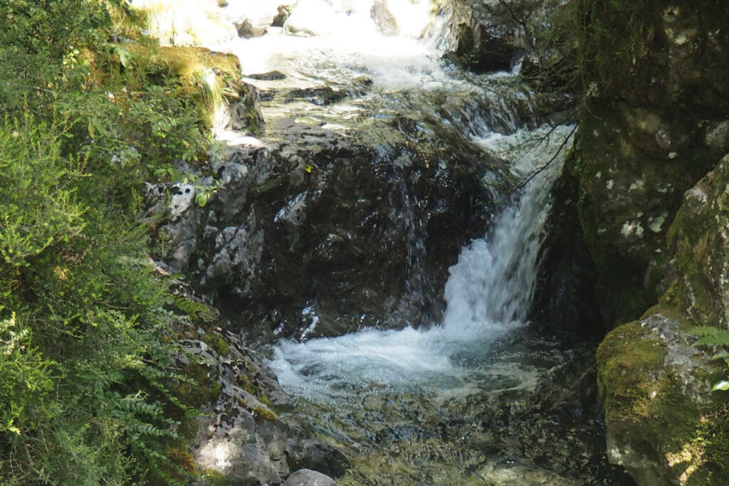 Lower section of the Avalanche Creek Falls.