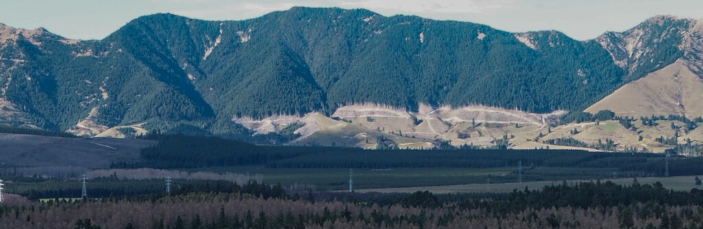 Pine covered hills directing in front over looking Hammer Springs.