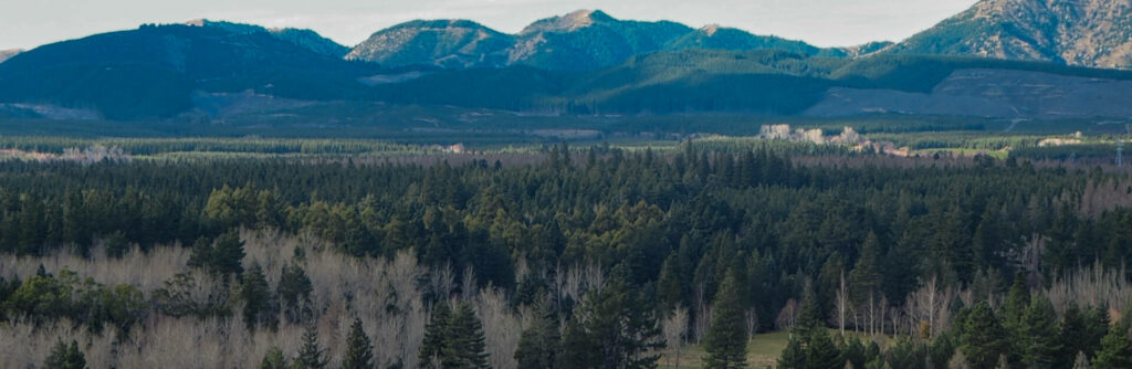 Cronical Hill View