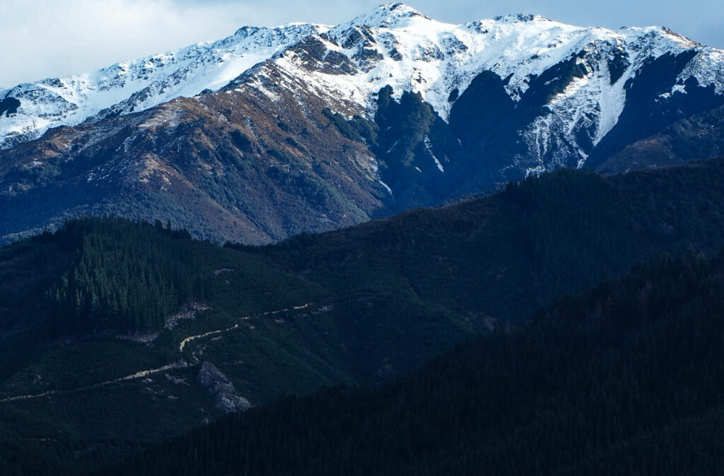 Cronical Hill View