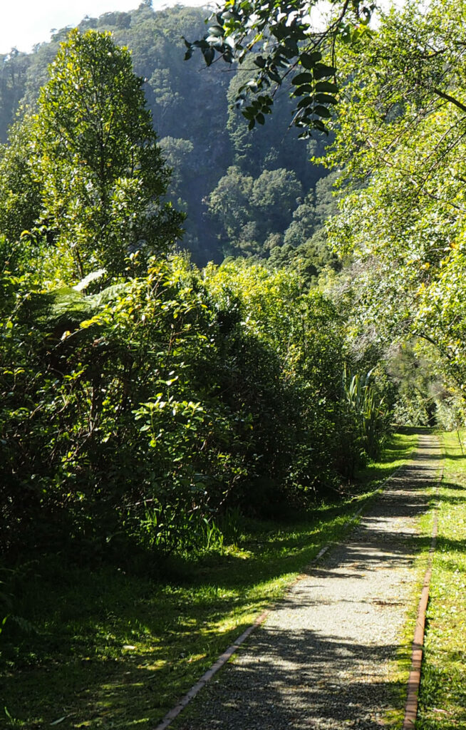 Charming Creek Walkway