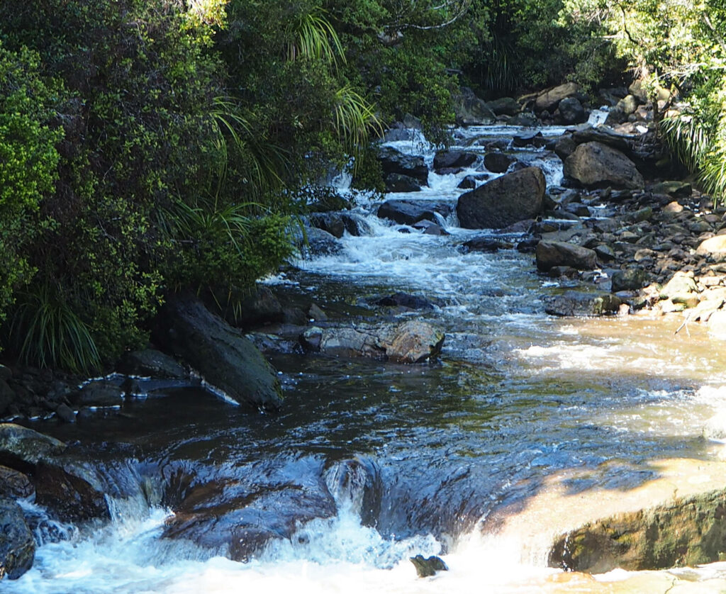 Charming Creek Walkway