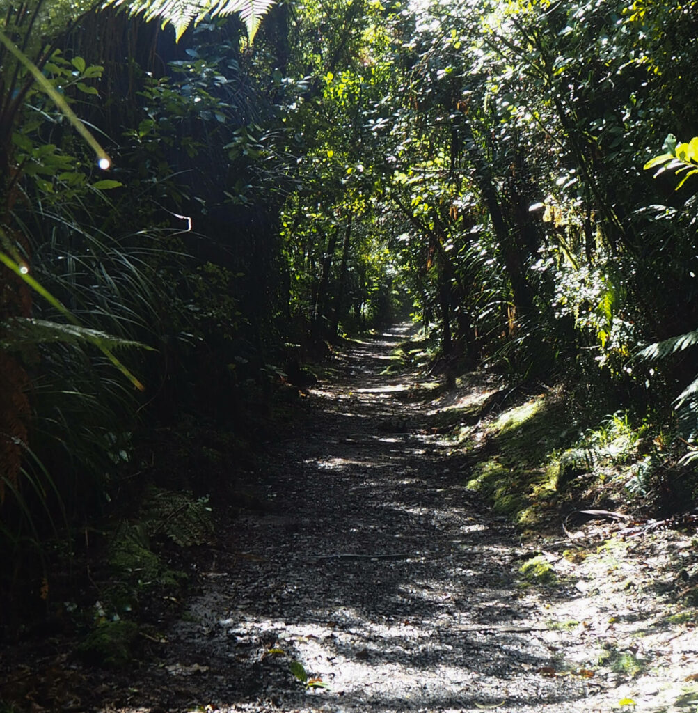 Charming Creek Walkway