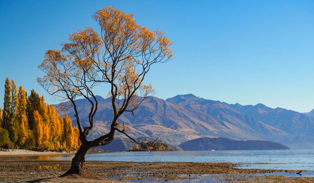 Lake Wanaka