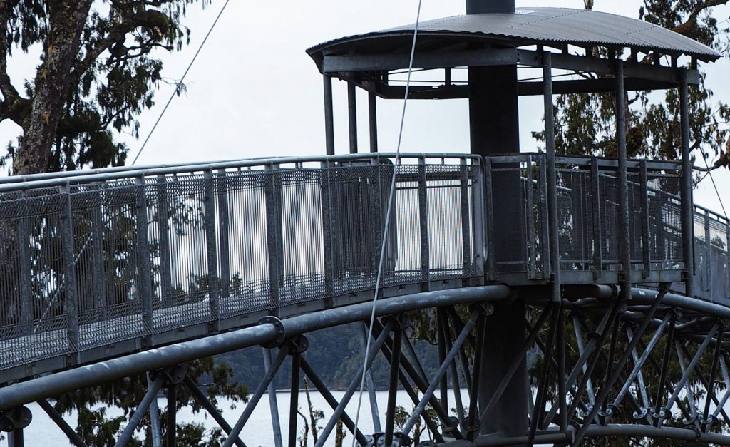 Tree Top Suspension Walk