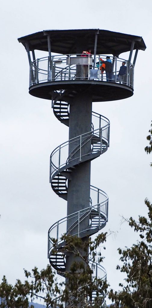 Tree Top Suspension Walk