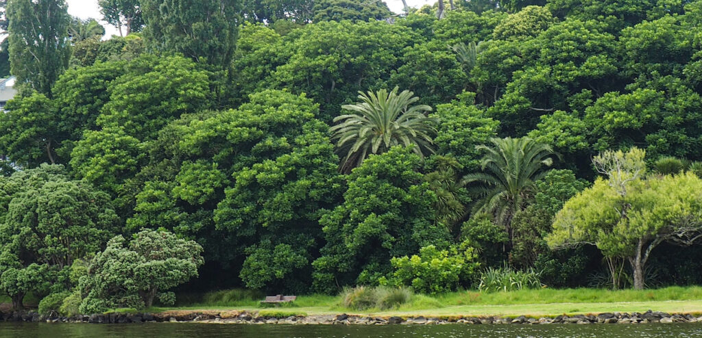 Orakei Basin Walkway