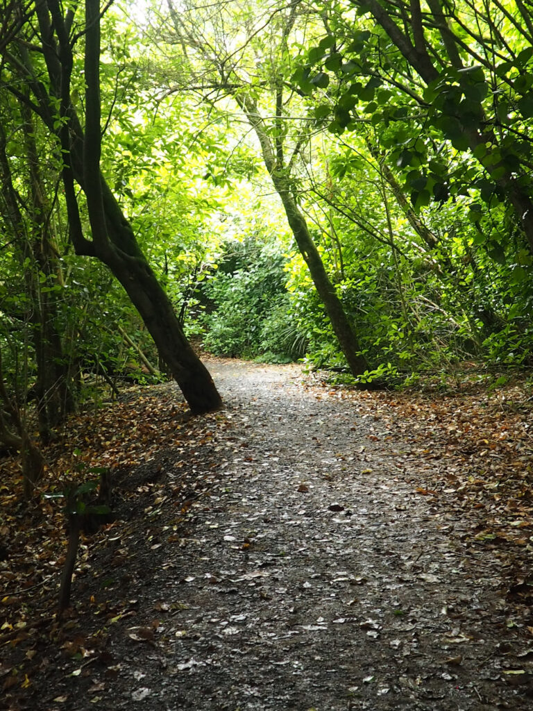 Orakei Basin Walkway