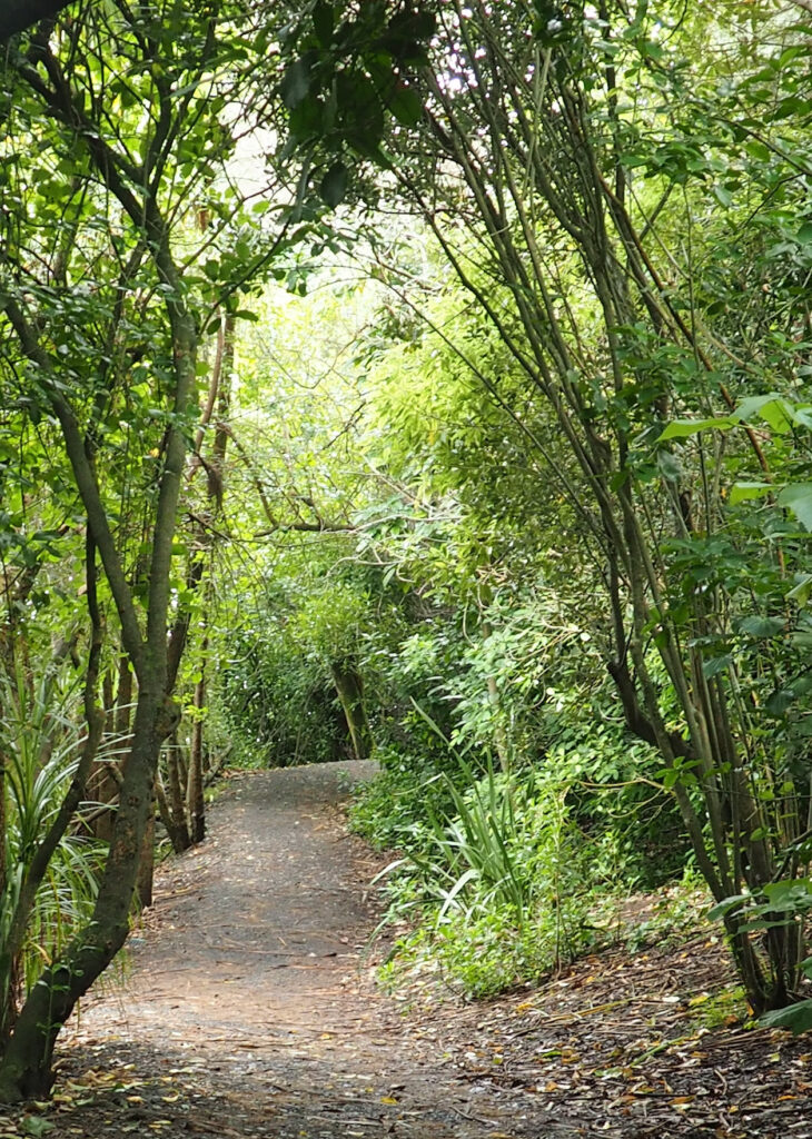 Orakei Basin Walkway