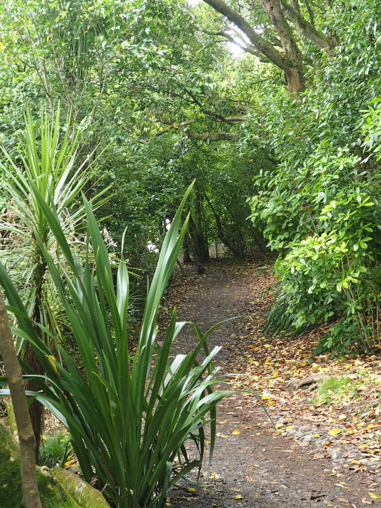 Orakei Basin Walkway