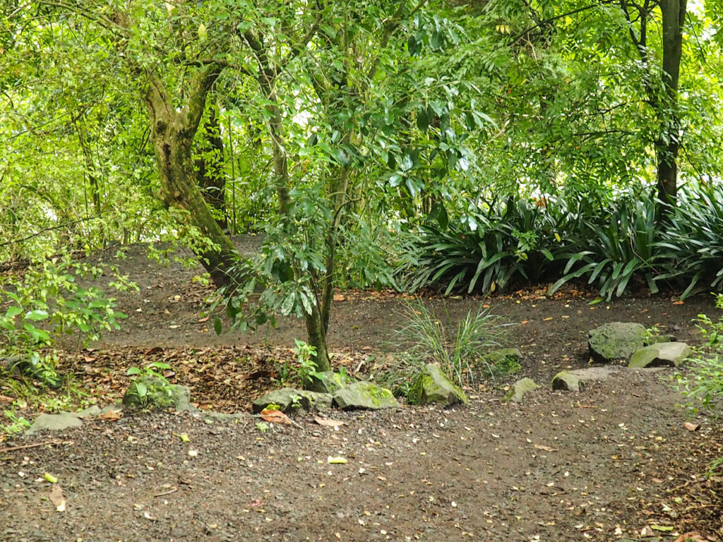 Orakei Basin Walkway