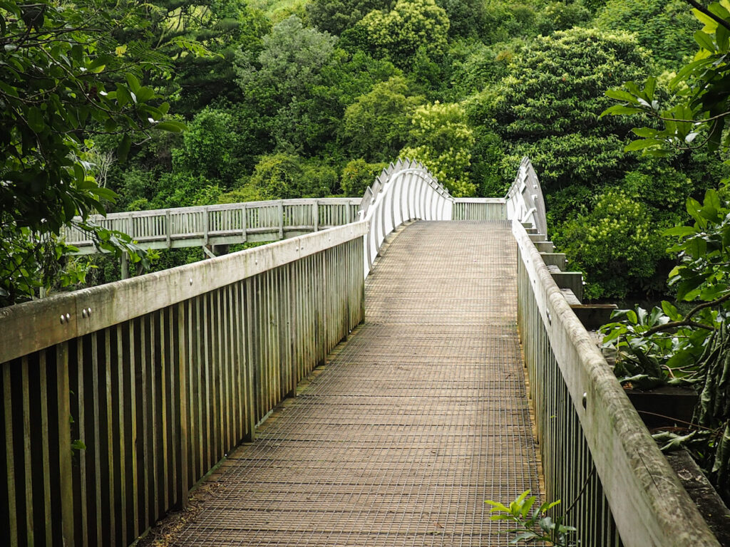 Orakei Basin Walkway