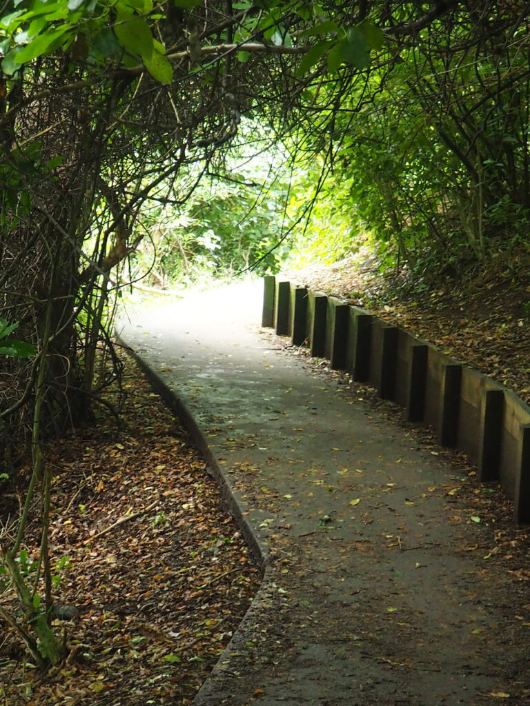 Orakei Basin Walkway