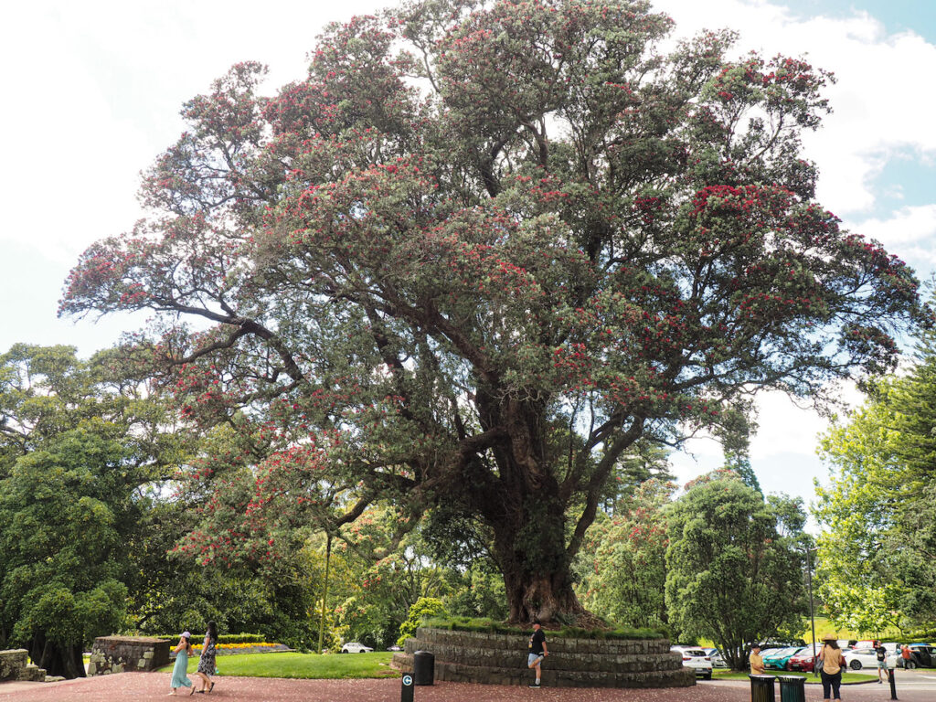 Cornwall Park Loop Path