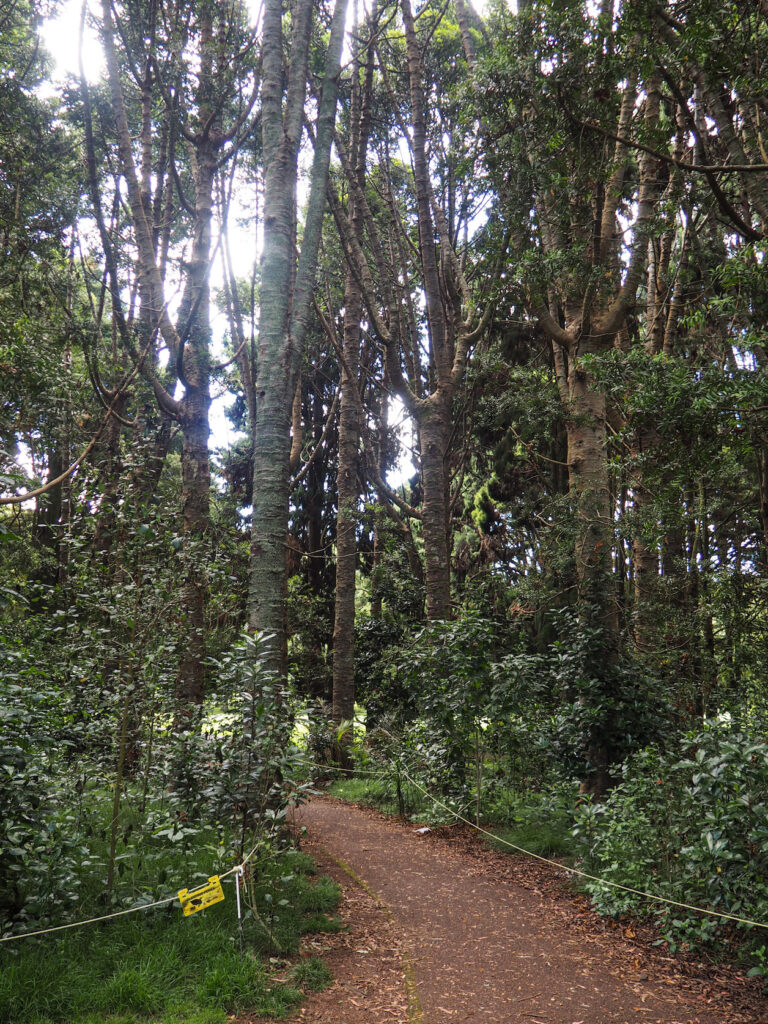 Cornwall Park Loop Path