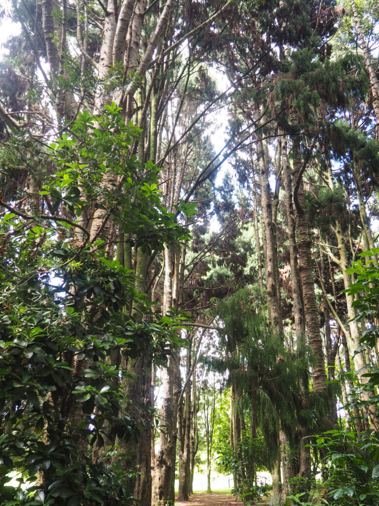 Cornwall Park Loop Path
