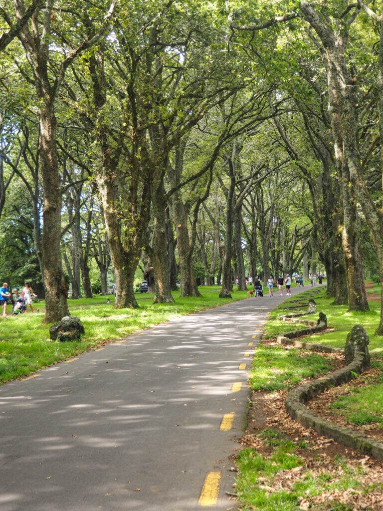 Cornwall Park Loop Path