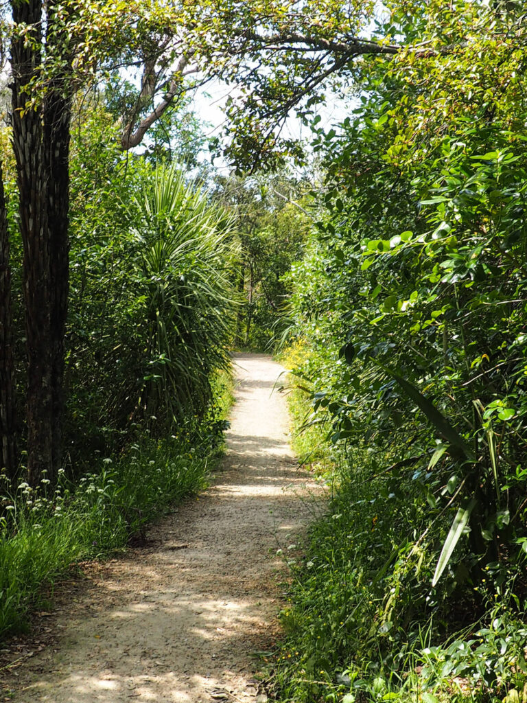 Weona-Westermere Pathway