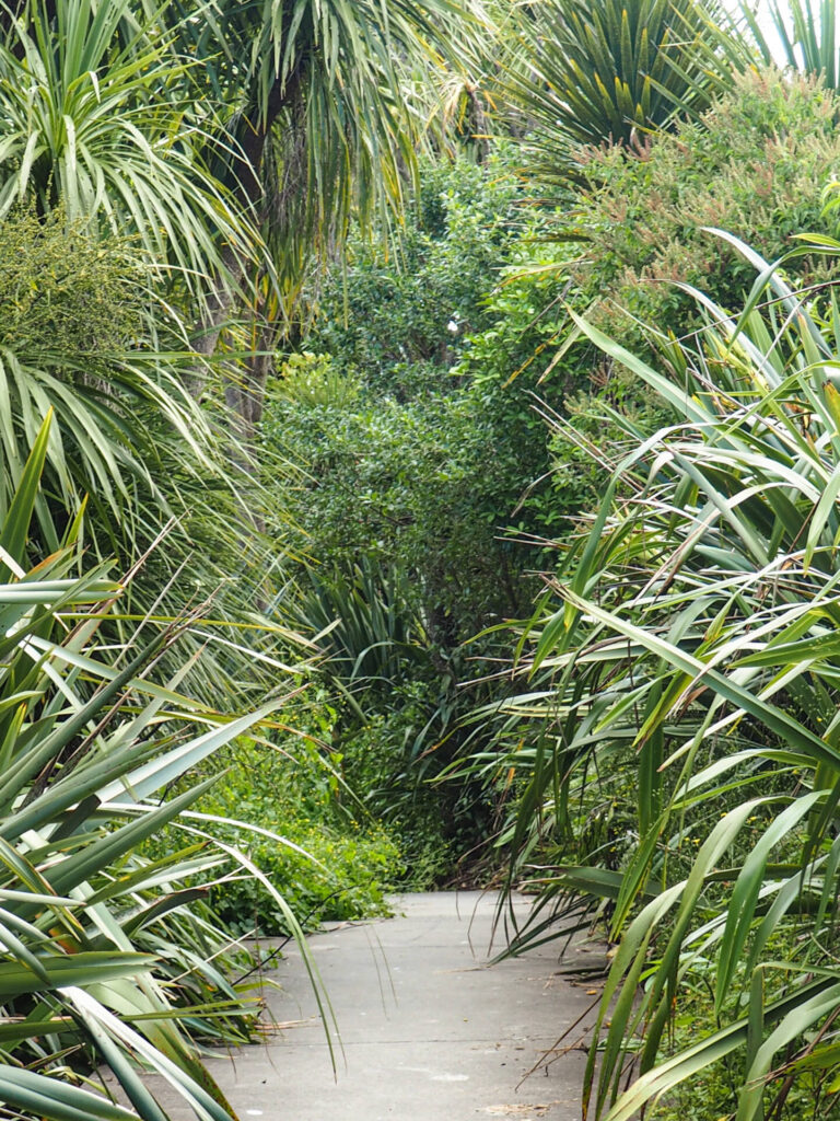 Weona-Westermere Pathway