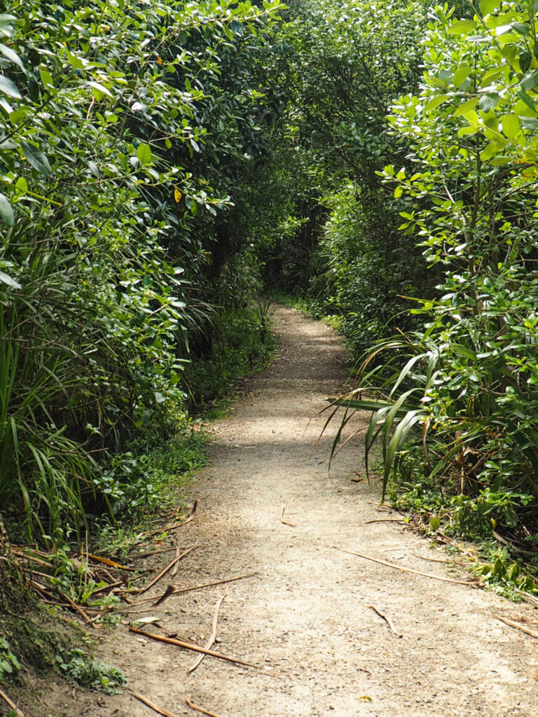 Weona-Westermere Pathway
