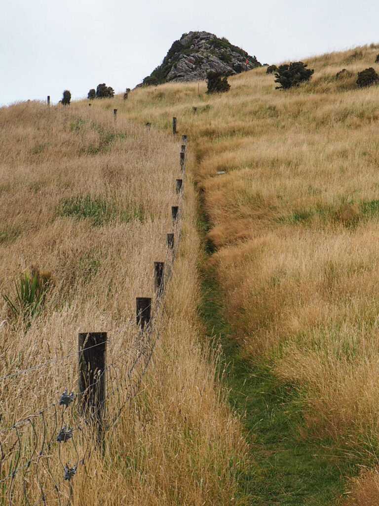 Gibraltar Rock Walk