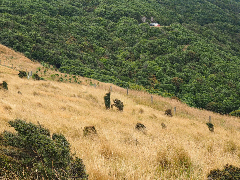 Gibraltar Rock Walk