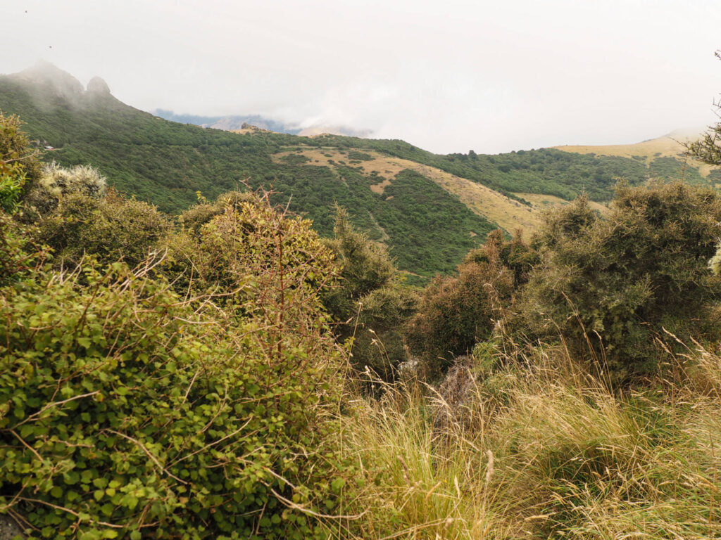 Gibraltar Rock Walk