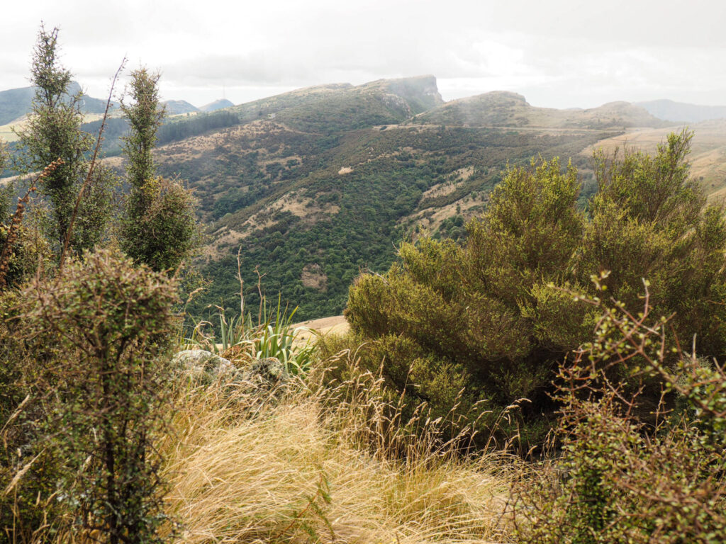 Gibraltar Rock Walk