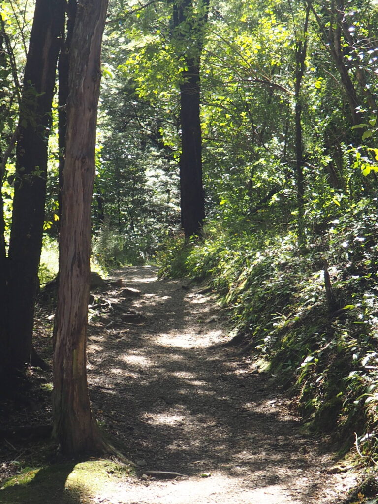 Waterfall Track